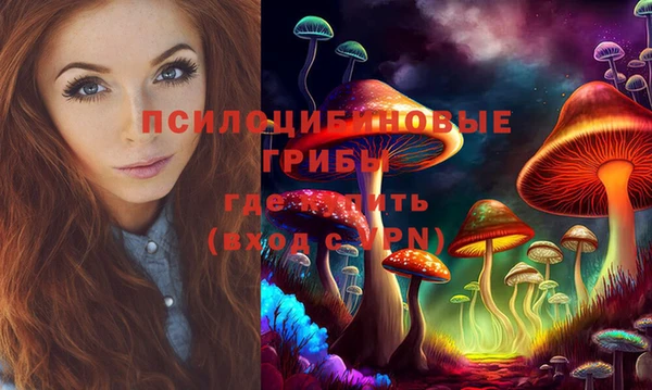 не бодяженный Аркадак