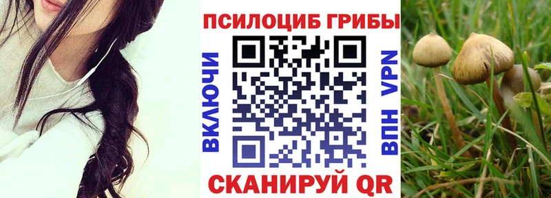 Псилоцибиновые грибы Psilocybine cubensis  hydra рабочий сайт  Оса 